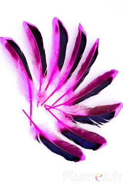 Canard - 8-10 cm - fuchsia